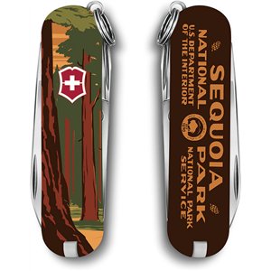 Classic Sequoia Rang Doug