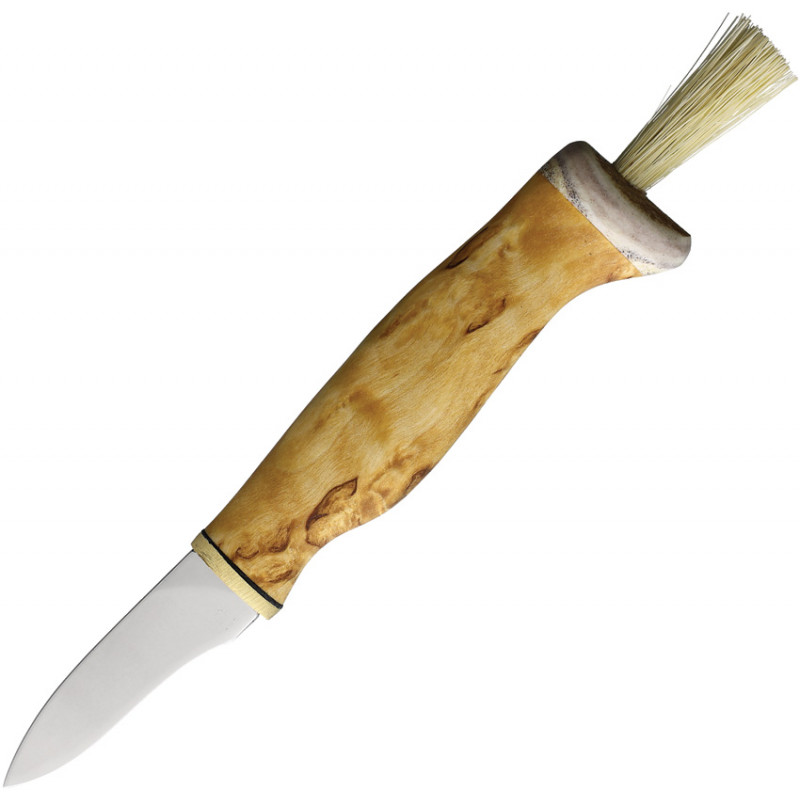 Mushroom Knife Curly Birch