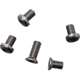 Arcade Screw Set Satin TI