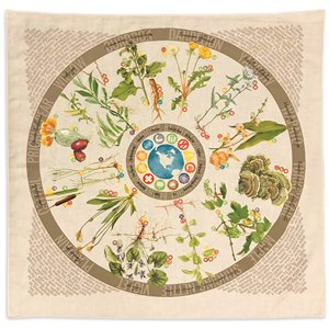 Bandana Foraging Reference