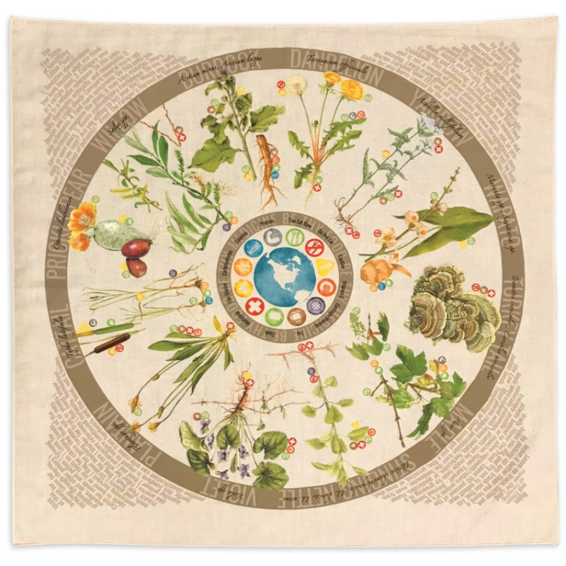 Bandana Foraging Reference