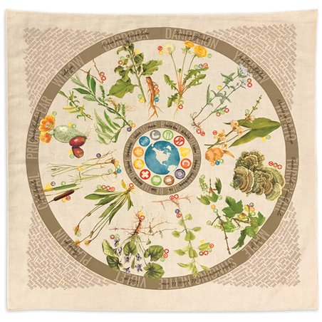 Bandana Foraging Reference