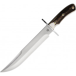 Alamo Bowie Stag