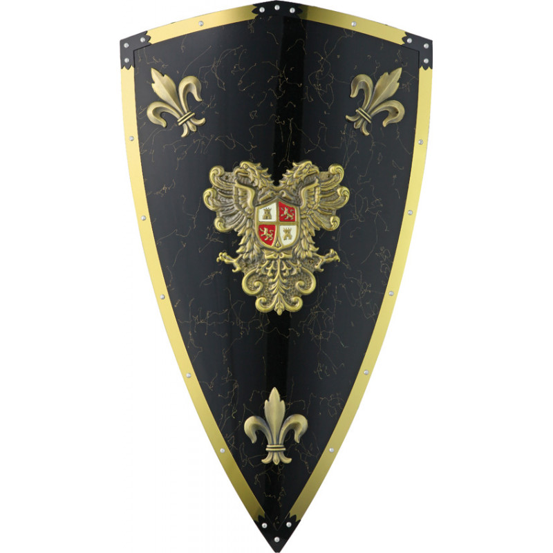 Charles V Shield