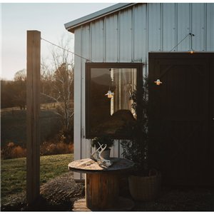 Edison Pendant Light