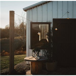 Edison String Lights