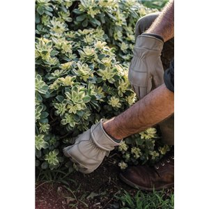 Kunar Utility Glove Clay XL