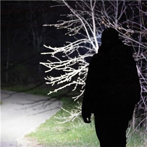 Rechargeable Headlamp 400