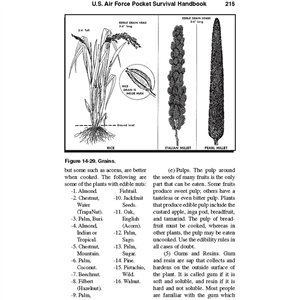 U.S. Air Force Pocket Handbook