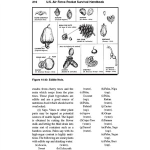 U.S. Air Force Pocket Handbook