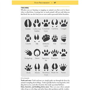 Green Beret Bushcrafting Guide