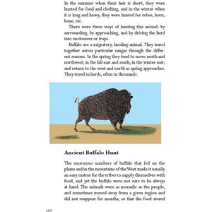 Survival Skills of Native Amer