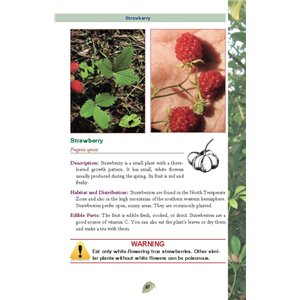 Pocket Guide to Edible Plants