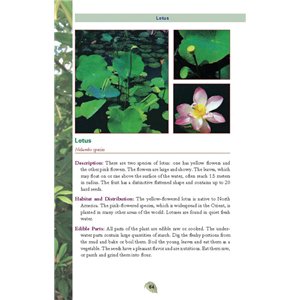 Pocket Guide to Edible Plants