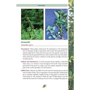 Pocket Guide to Edible Plants