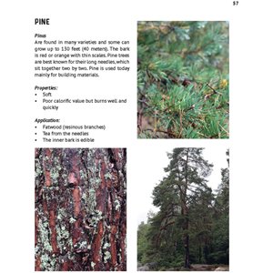 The Art of Bushcraft