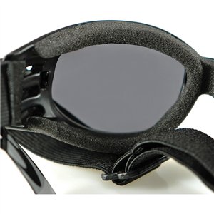 Cruiser 2 Goggle 3 Lenses