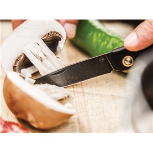 Rusticus Medium Linerlock Ebo