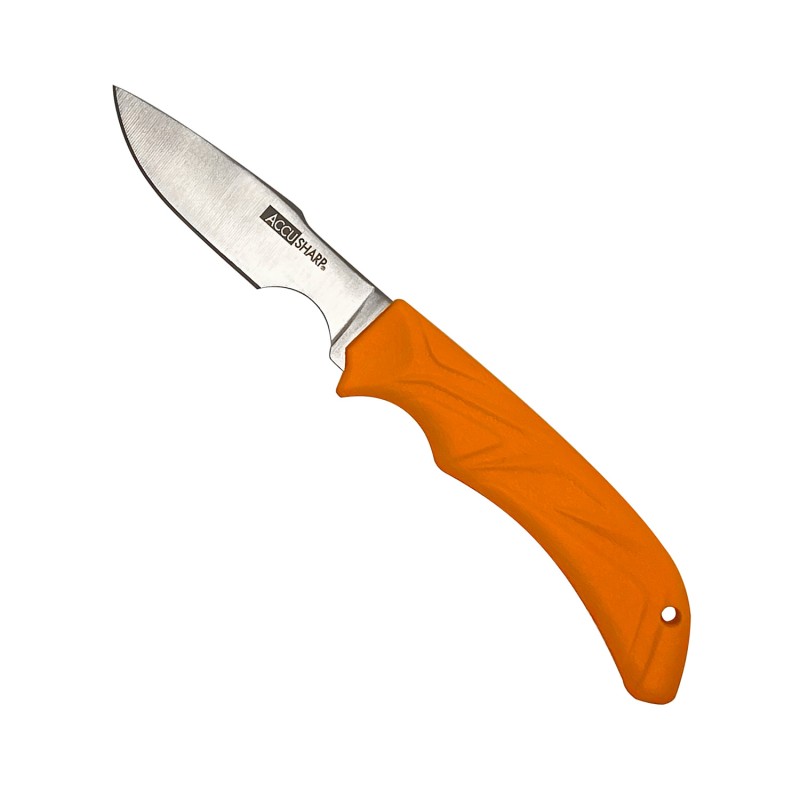 AccuSharp 731C Caping  Fixed Caping 3.50 Stainless Steel BladeBlaze Orange Ergonomic AntiSlip Handle