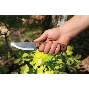 Wild Harvest Bushcraft