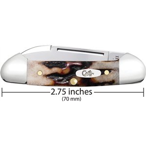 Baby Butterbean Red Stag