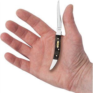 Small Toothpick Curly Oak