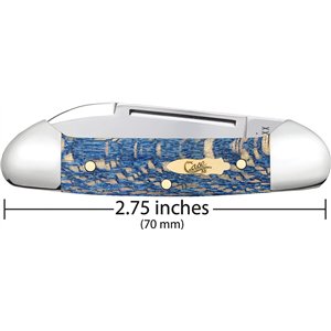 Baby Butterbean Blue Sycamore