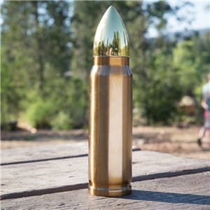 Bullet Thermo Bottle