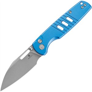 Vector Button Lock Blue