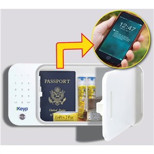 iKeyp Pro Smart Safe