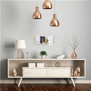 iKeyp Pro Smart Safe