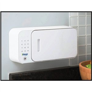 iKeyp Pro Smart Safe