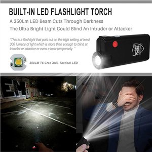 Knight Light Alarm/Flashlight