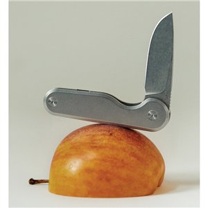 Rook Framelock Stainless