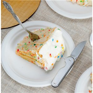 Rook Framelock Stainless