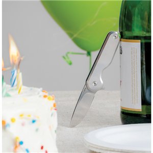 Rook Framelock Stainless