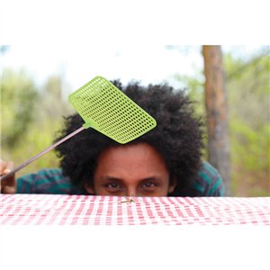 Telescopic Fly Swatter