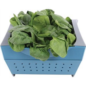 Standard Snapfold Colander