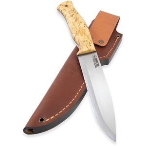 No 14 SFK Curly Birch