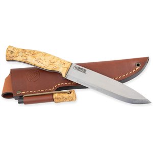 No 14 SFK Curly Birch