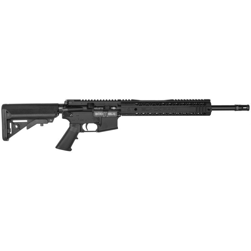 Black Rain BROSPEC15300BLK Spec15  300 Blackout 16 301 Black Hard Coat Anodized Enhanced G.I. Sopmod Stock