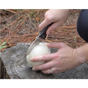 Inject Button Lock Multi-Tool