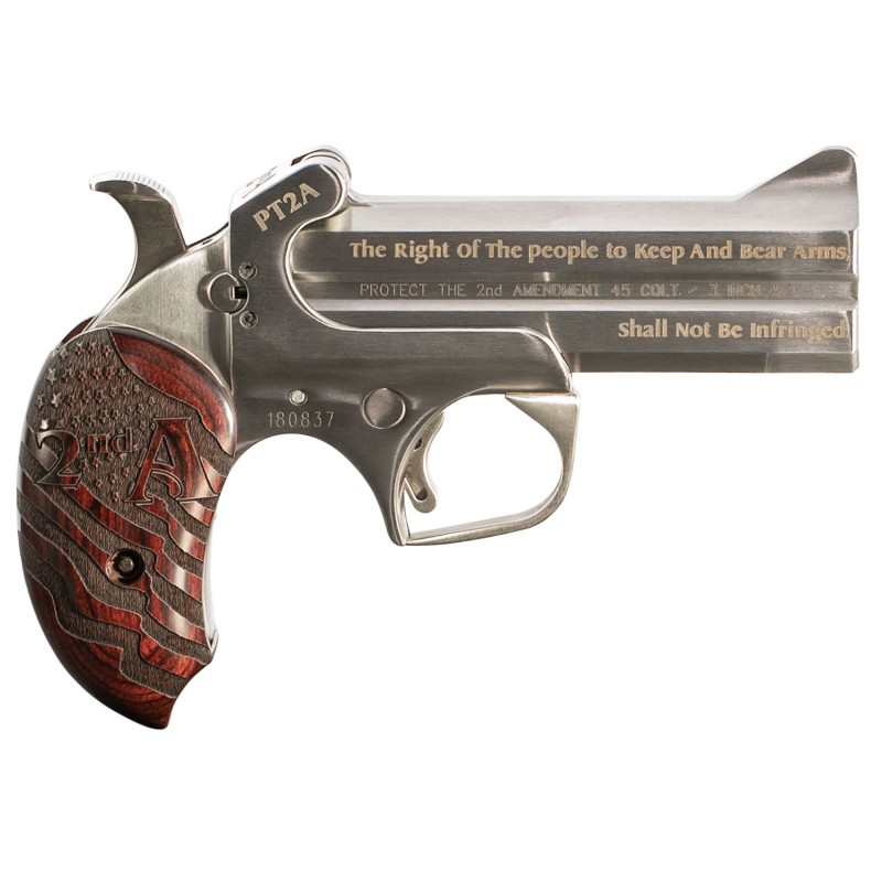 Bond Arms PT2A Protect the 2nd Amendment Derringer Single 45 Colt LC410 Gauge 4.25 2 Round Stainless Steel