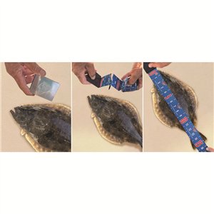 Magnetic Tape Measure 32in