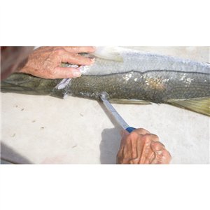 AquaTuff Fillet Knife