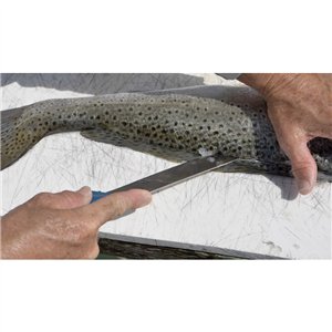 AquaTuff Wide Fillet Knife