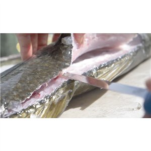 AquaTuff Fillet Knife