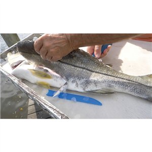 AquaTuff Fillet Knife