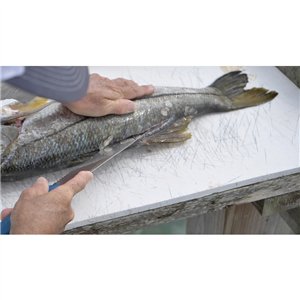 AquaTuff Serrated Utility