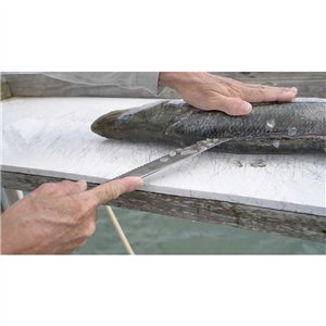 AquaTuff Serrated Utility